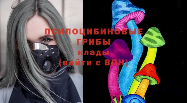 гидра Алексеевка